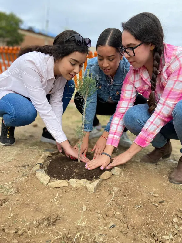 Estudiantes del IISCH plantando un árbol durante una jornada de reforestación